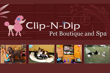 Click to visit it's website!