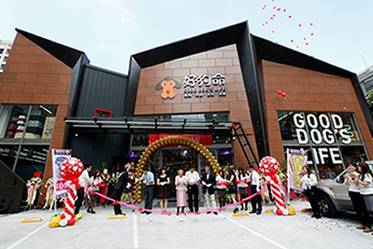 Click to visit it's website!