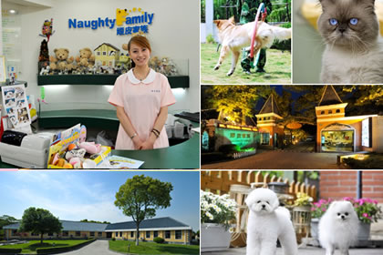 Click to visit it's website!