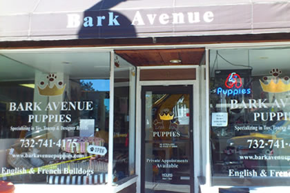 Click to visit it's website!